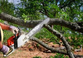 Best Utility Line Clearance  in Scow Mills, MO