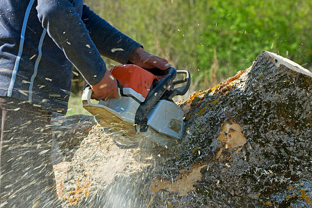 Best Tree Mulching Services  in Scow Mills, MO